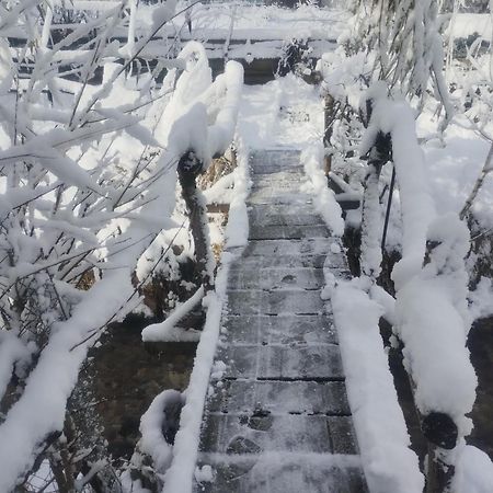 Casuta Din Crai Villa Zărneşti Dış mekan fotoğraf