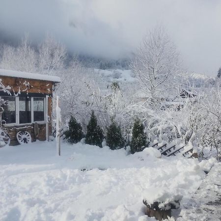 Casuta Din Crai Villa Zărneşti Dış mekan fotoğraf
