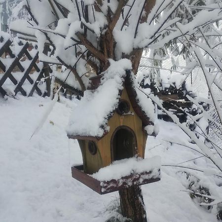 Casuta Din Crai Villa Zărneşti Dış mekan fotoğraf