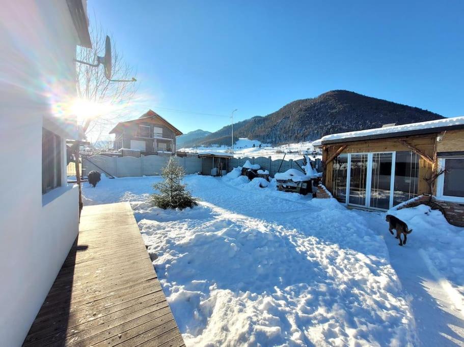 Casuta Din Crai Villa Zărneşti Dış mekan fotoğraf