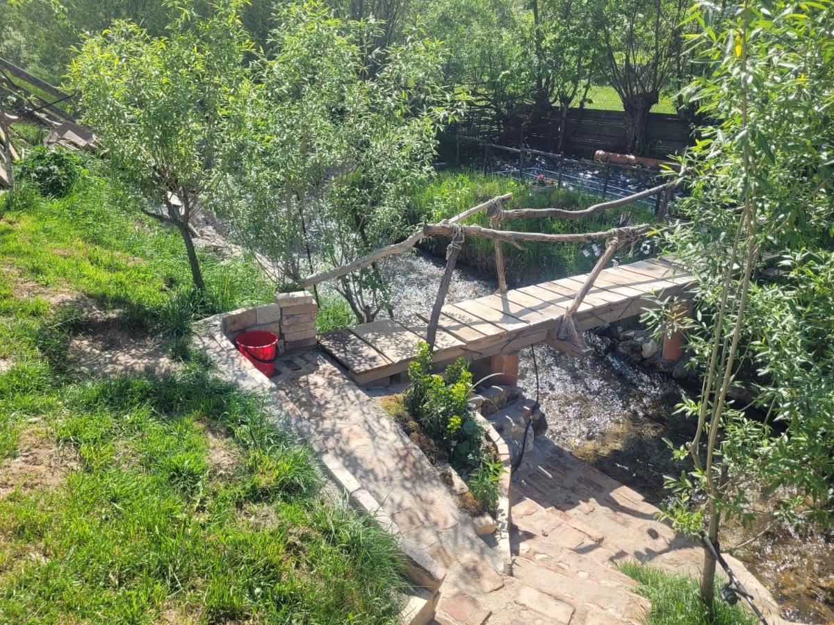 Casuta Din Crai Villa Zărneşti Dış mekan fotoğraf