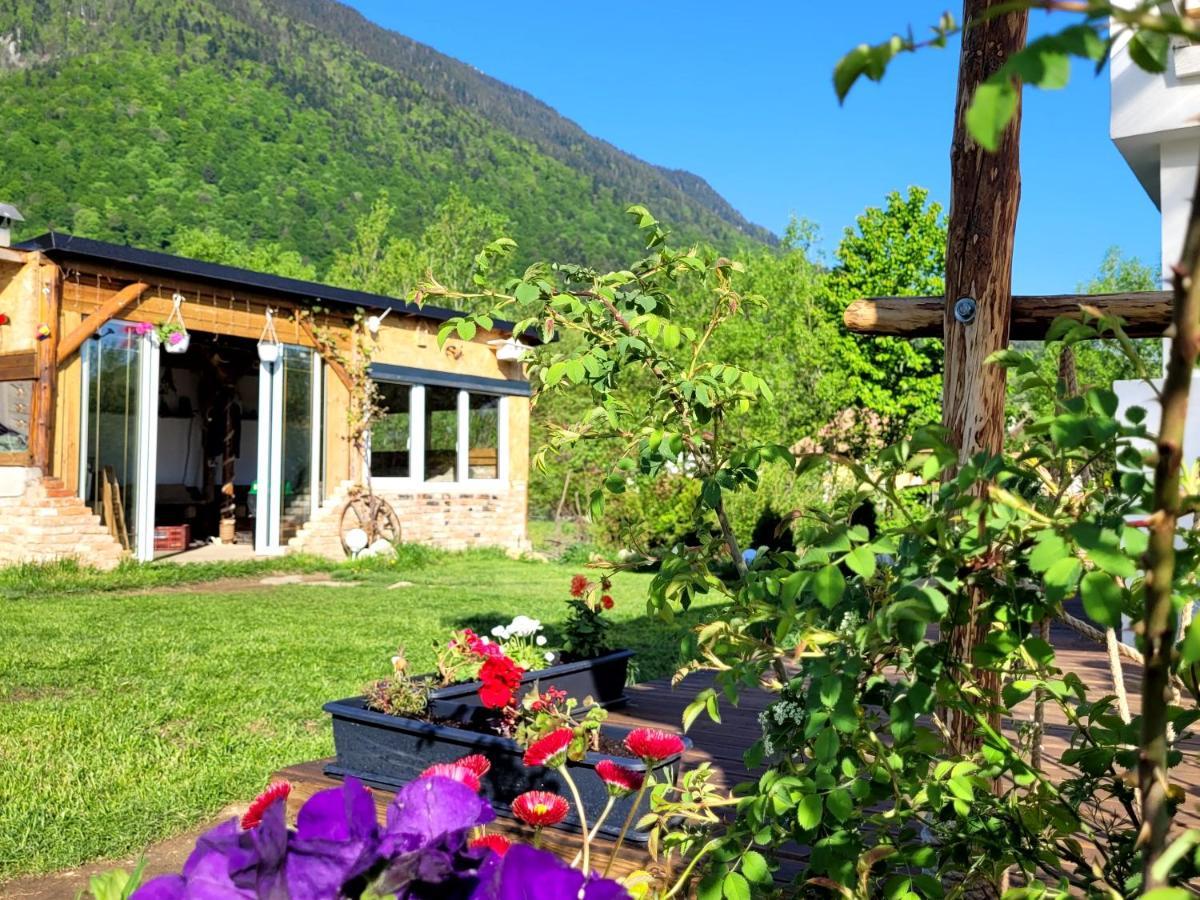 Casuta Din Crai Villa Zărneşti Dış mekan fotoğraf