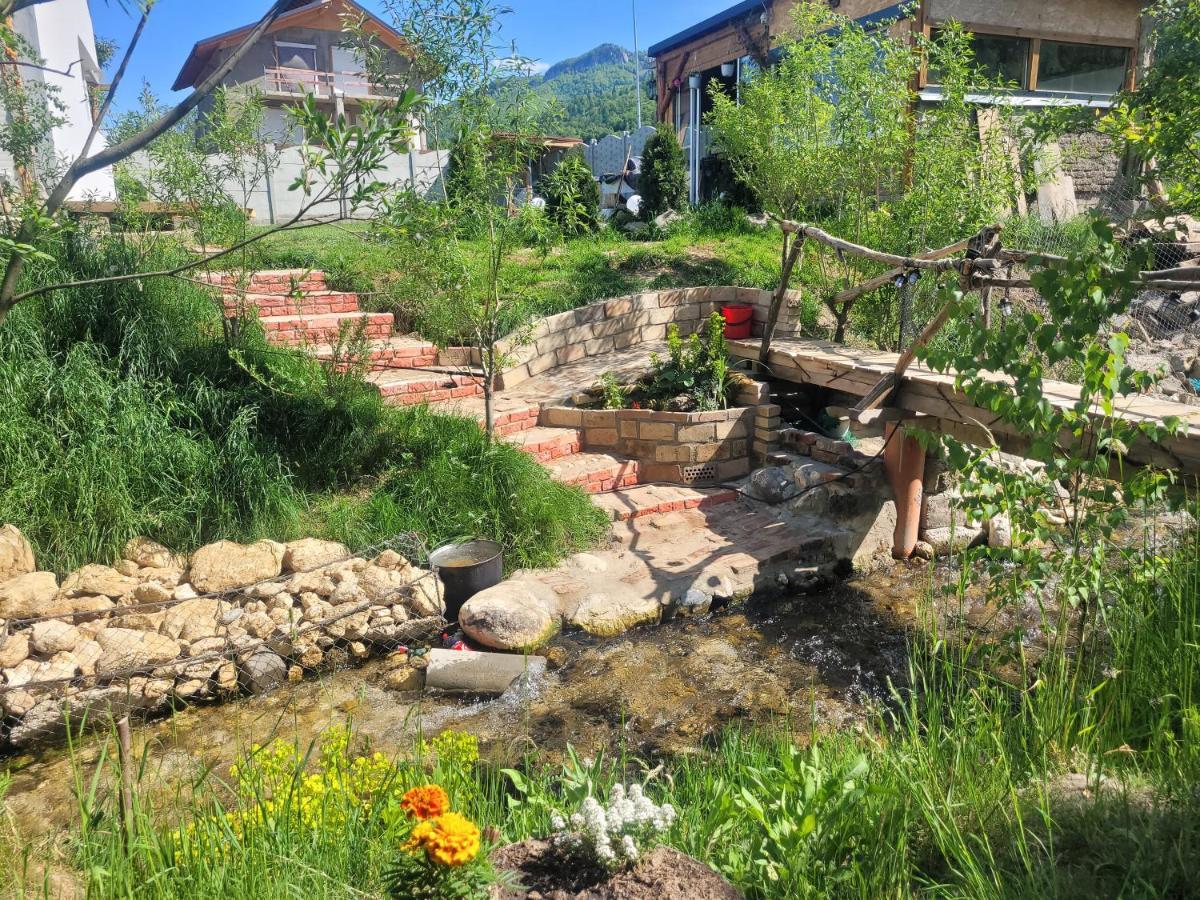 Casuta Din Crai Villa Zărneşti Dış mekan fotoğraf