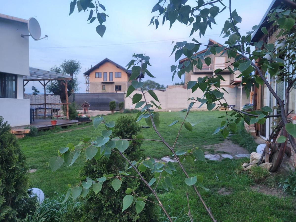 Casuta Din Crai Villa Zărneşti Dış mekan fotoğraf