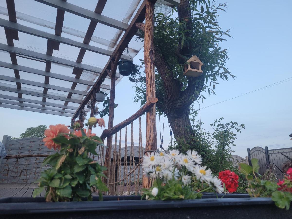 Casuta Din Crai Villa Zărneşti Dış mekan fotoğraf