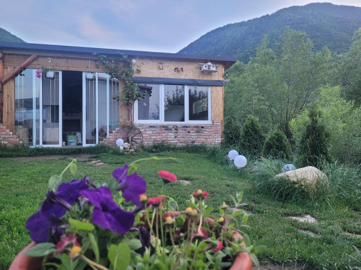 Casuta Din Crai Villa Zărneşti Dış mekan fotoğraf