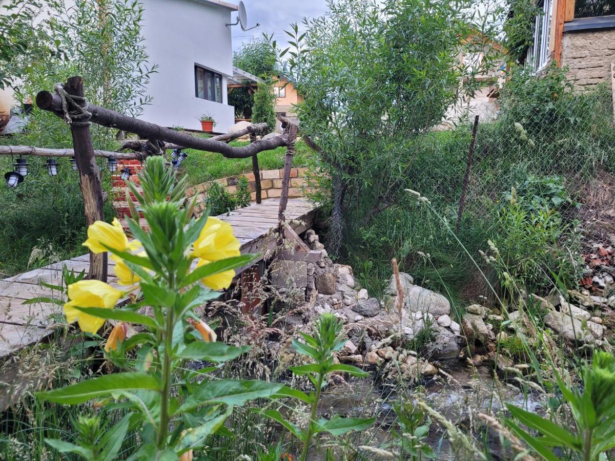 Casuta Din Crai Villa Zărneşti Dış mekan fotoğraf