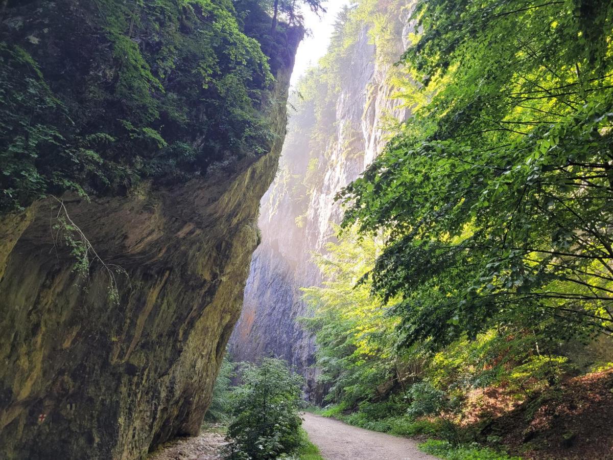 Casuta Din Crai Villa Zărneşti Dış mekan fotoğraf