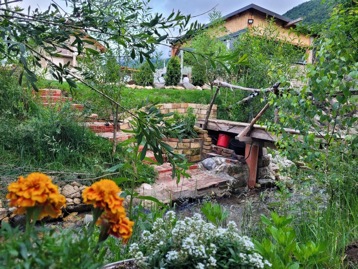 Casuta Din Crai Villa Zărneşti Dış mekan fotoğraf