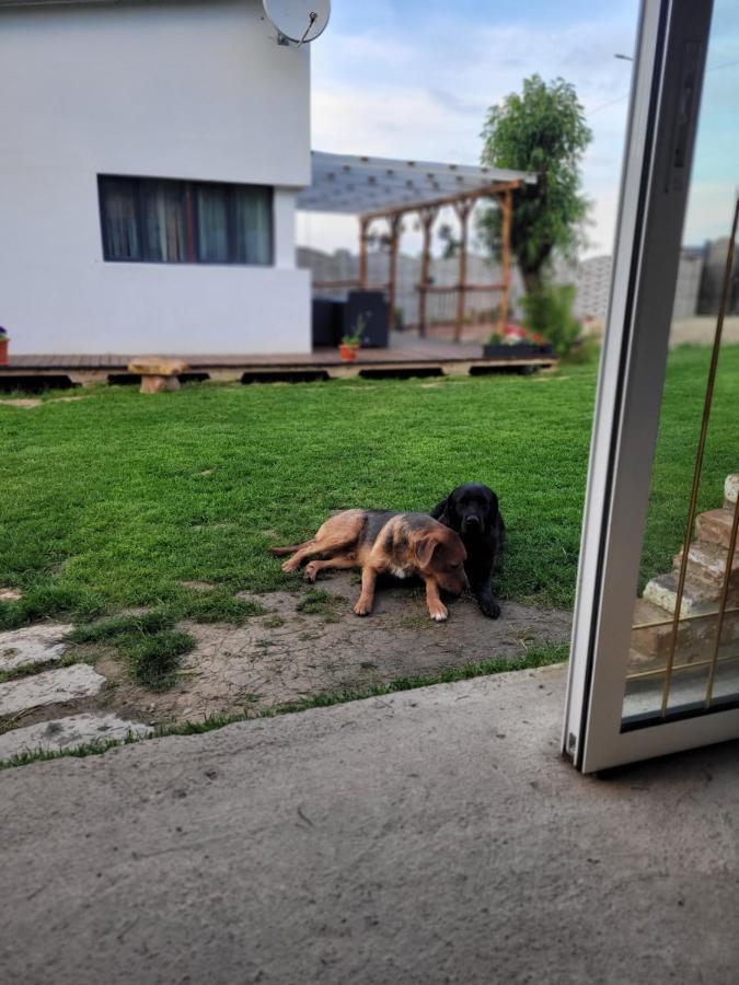 Casuta Din Crai Villa Zărneşti Dış mekan fotoğraf