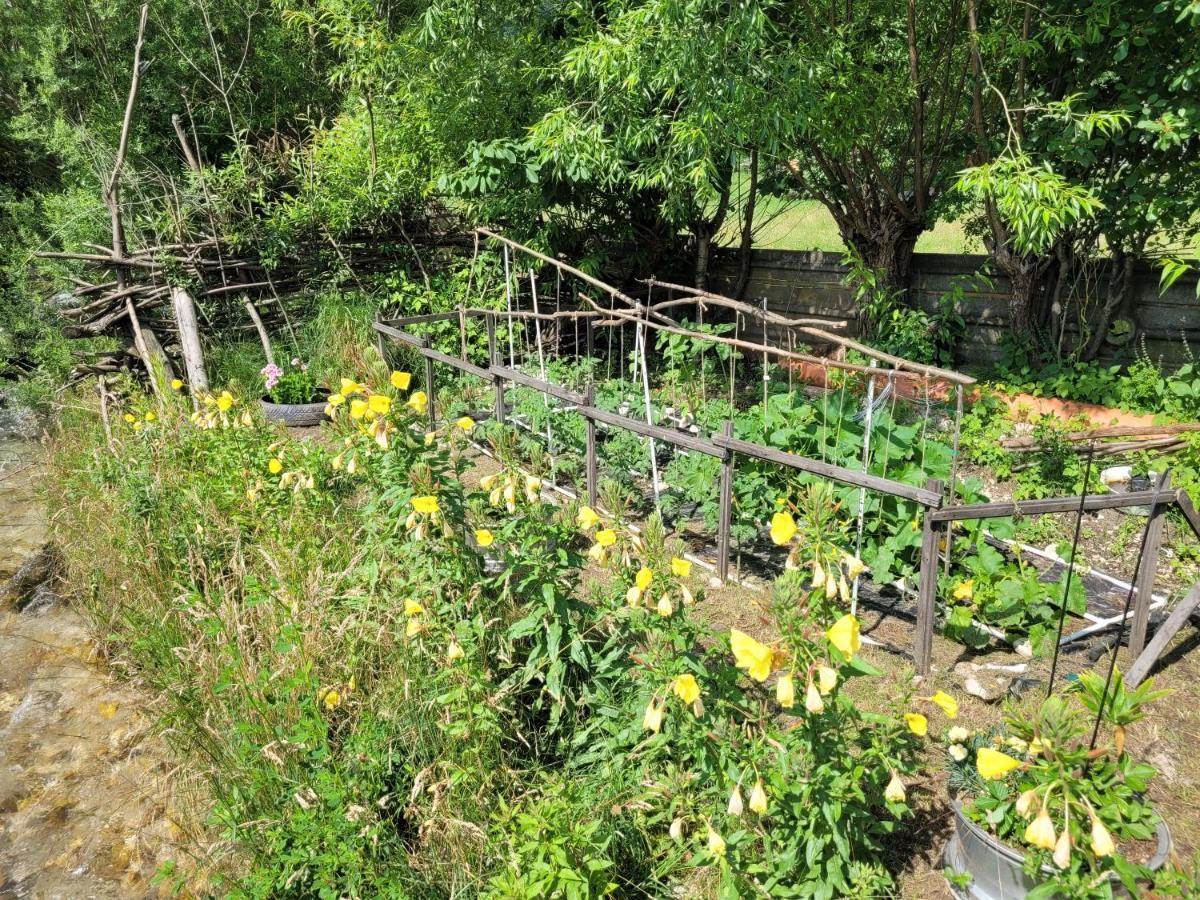 Casuta Din Crai Villa Zărneşti Dış mekan fotoğraf