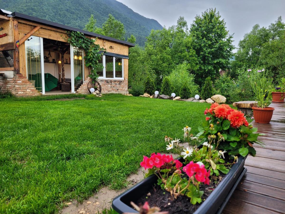 Casuta Din Crai Villa Zărneşti Dış mekan fotoğraf