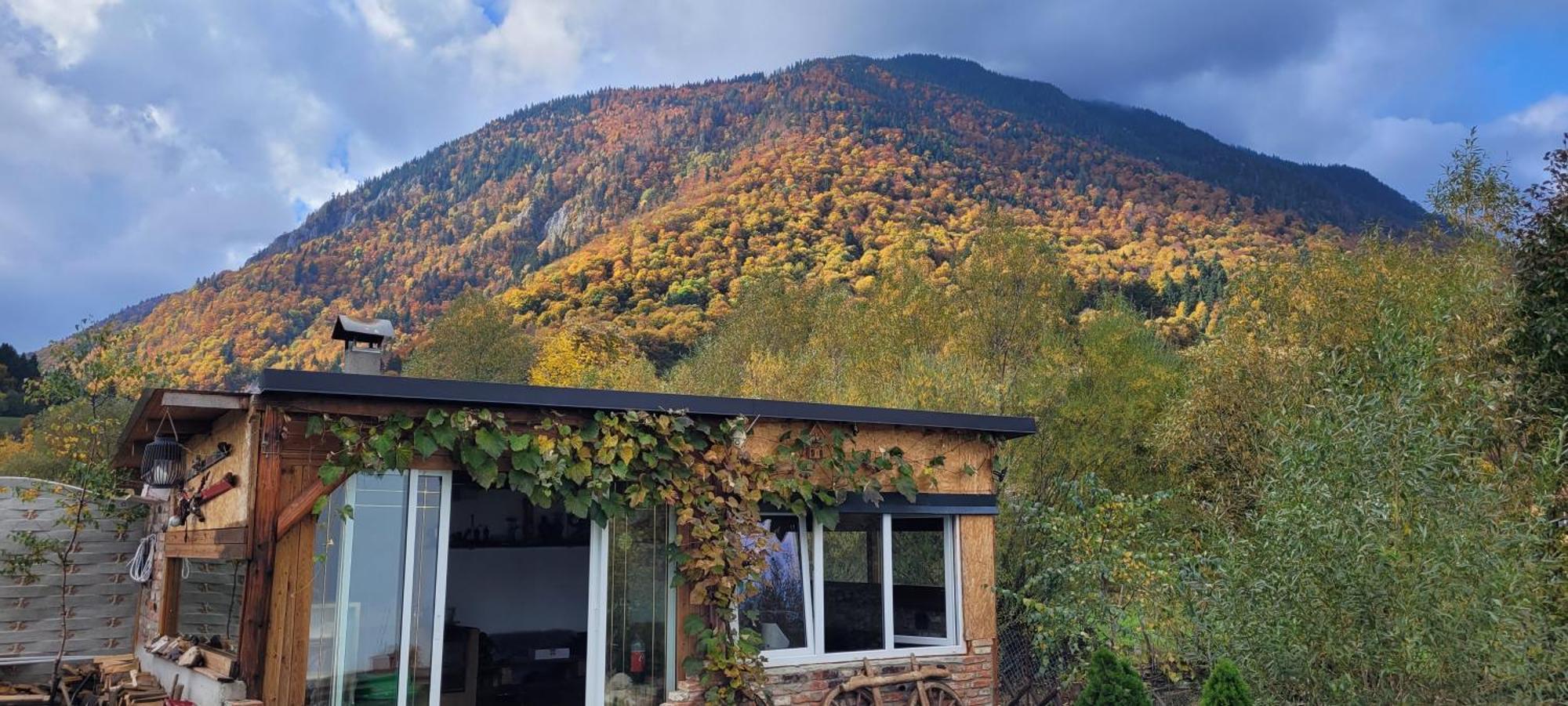 Casuta Din Crai Villa Zărneşti Dış mekan fotoğraf