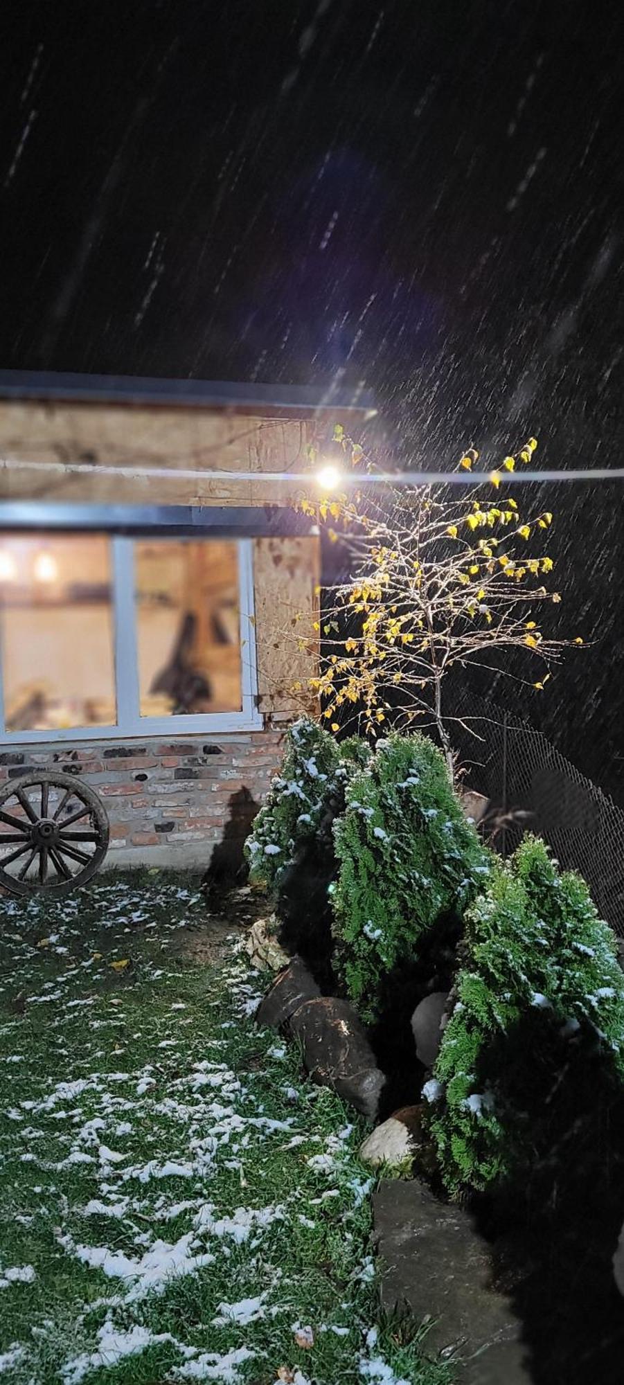 Casuta Din Crai Villa Zărneşti Dış mekan fotoğraf