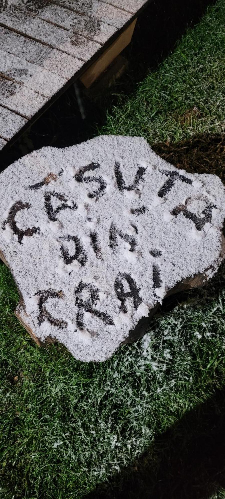 Casuta Din Crai Villa Zărneşti Dış mekan fotoğraf