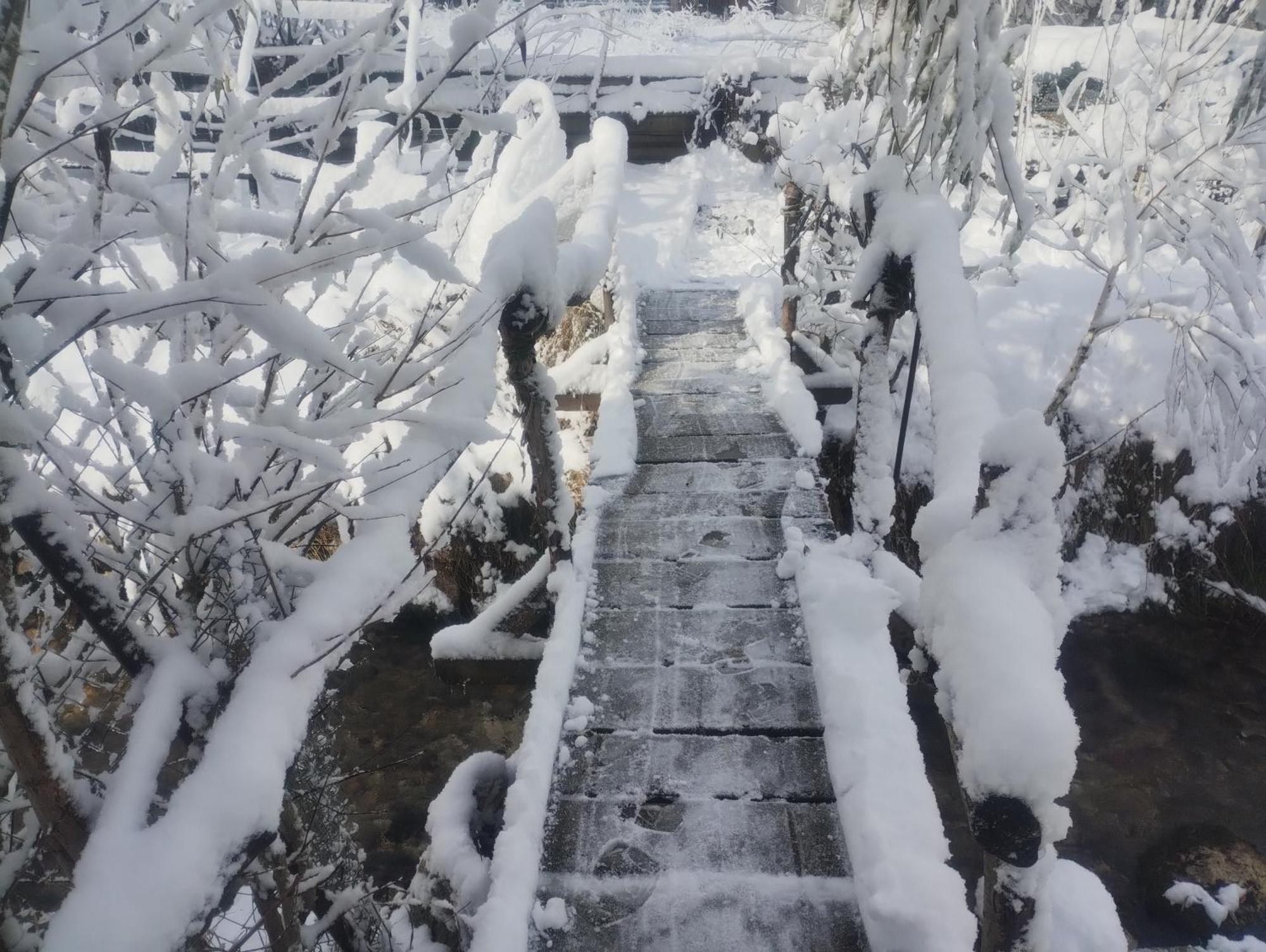 Casuta Din Crai Villa Zărneşti Dış mekan fotoğraf