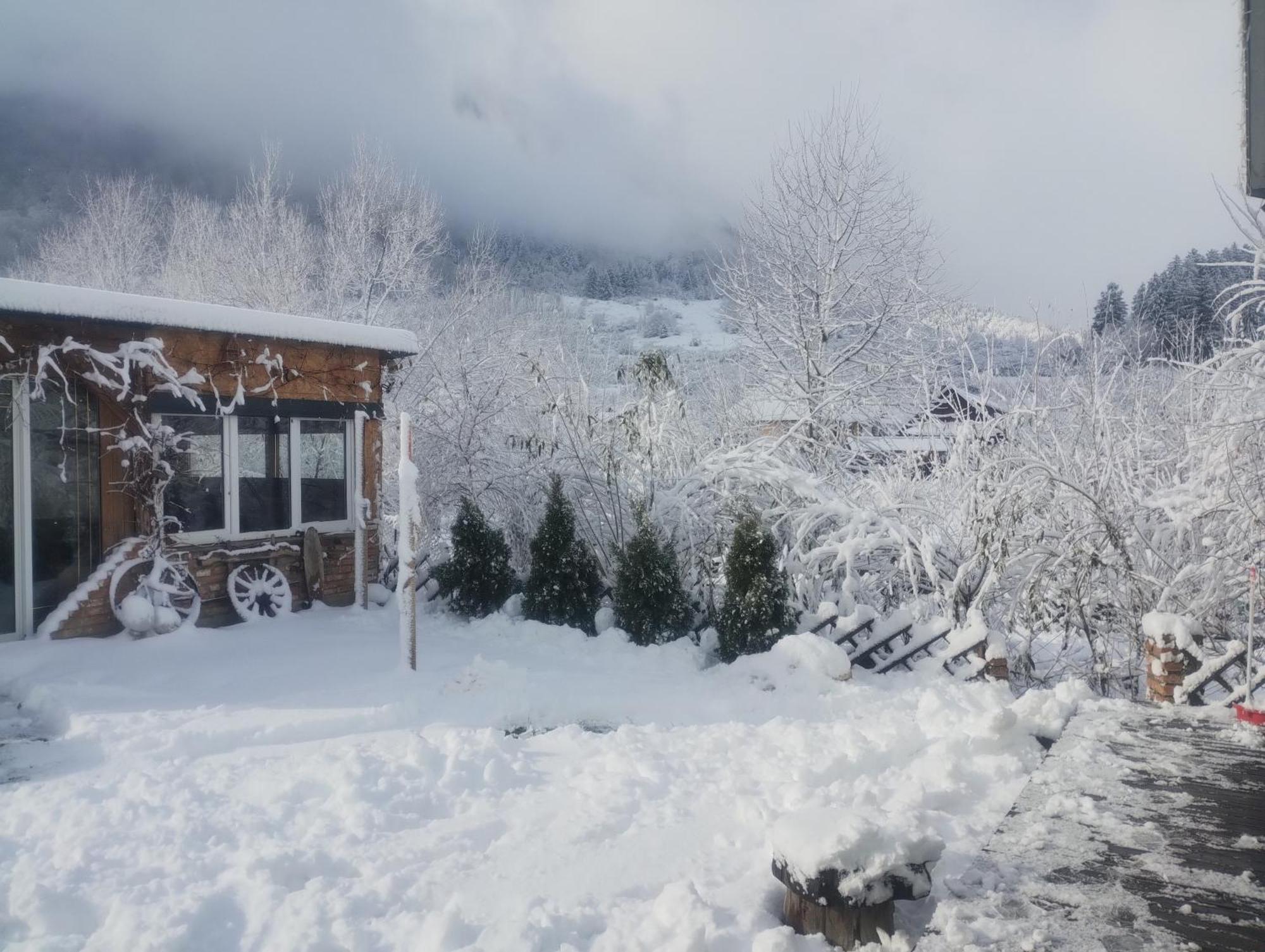 Casuta Din Crai Villa Zărneşti Dış mekan fotoğraf