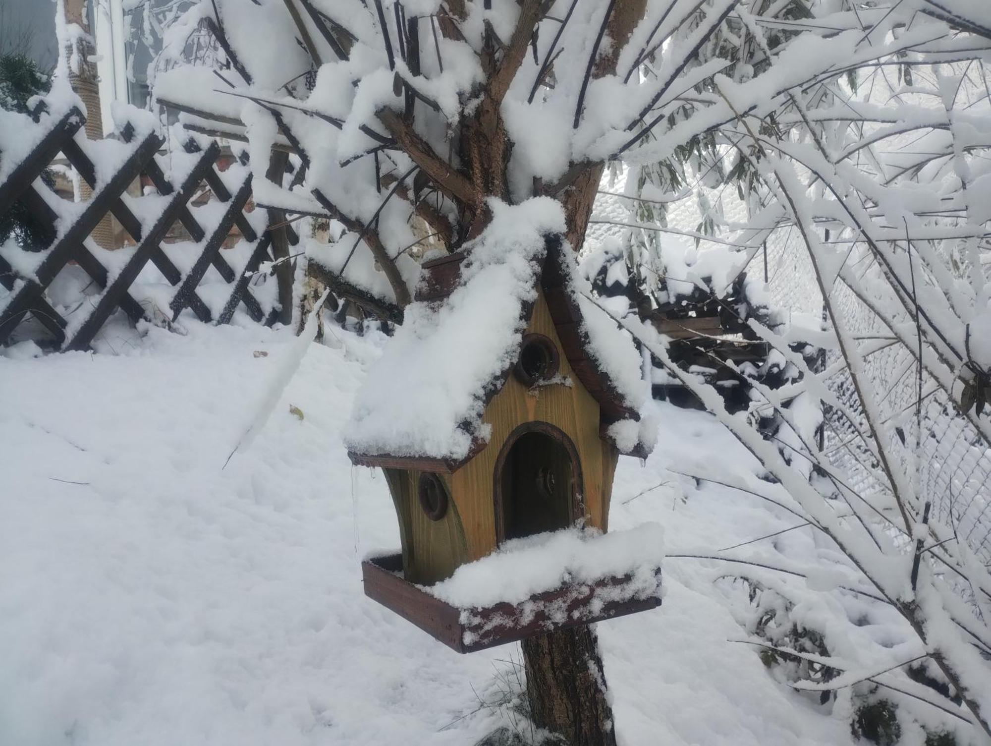 Casuta Din Crai Villa Zărneşti Dış mekan fotoğraf